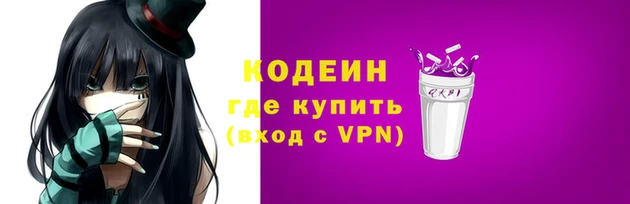 гашик Гусев