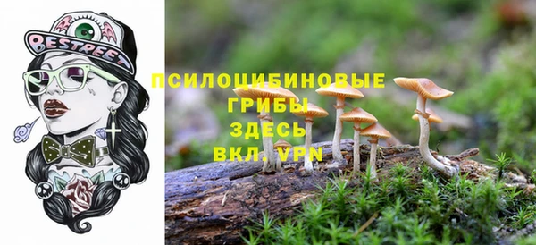 mdma Горняк